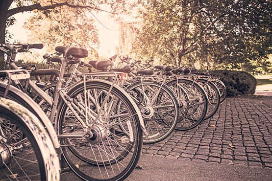 Row of Parked Bikes Free Photo