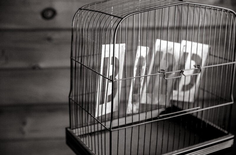 Bird Cage Free Stock Photo