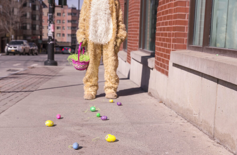 Bunny Suit Free Stock Photo