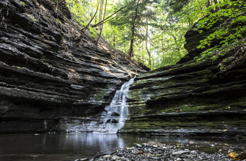 Beautiful Flowing Creek Free Stock Photo