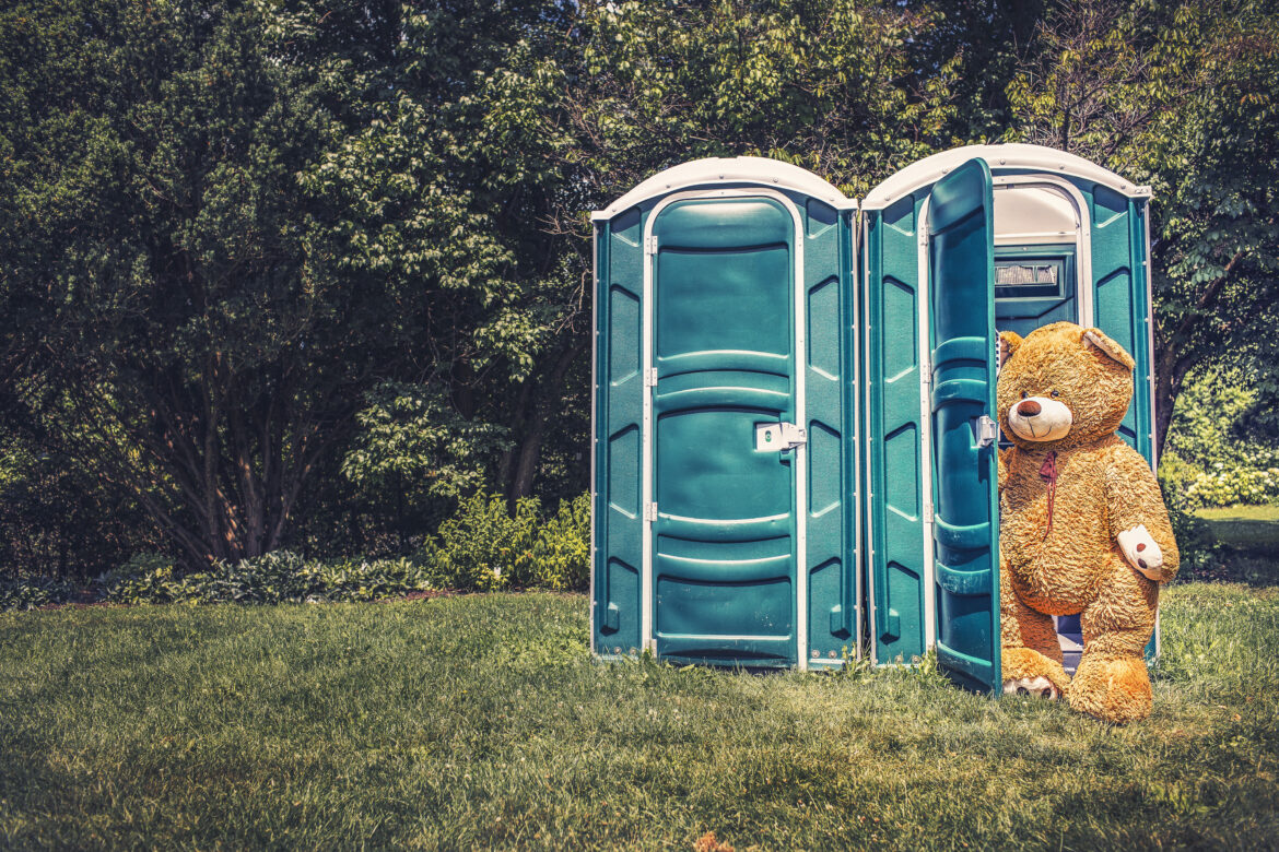 Teddy Bear Toilet Free Stock Photo