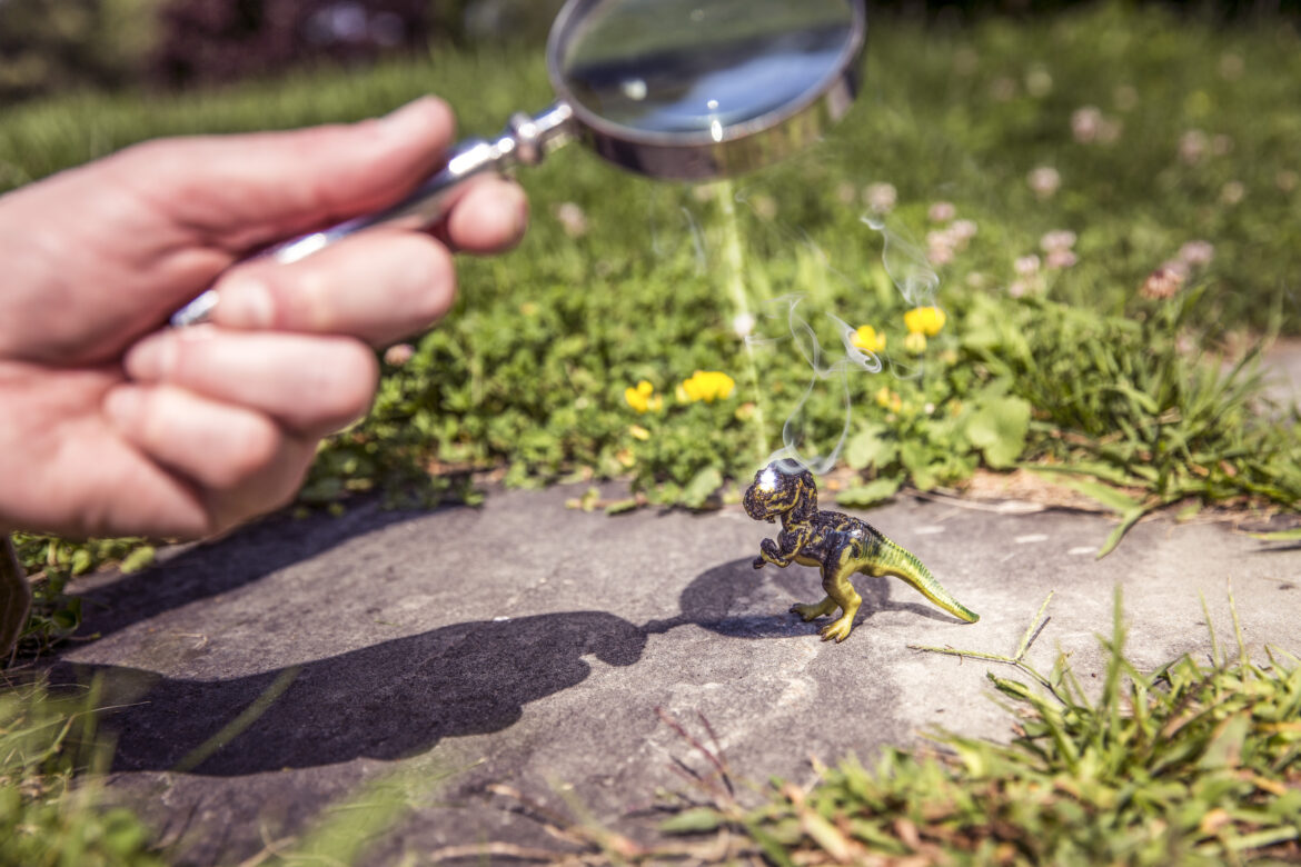 Magnifying Glass Free Stock Photo