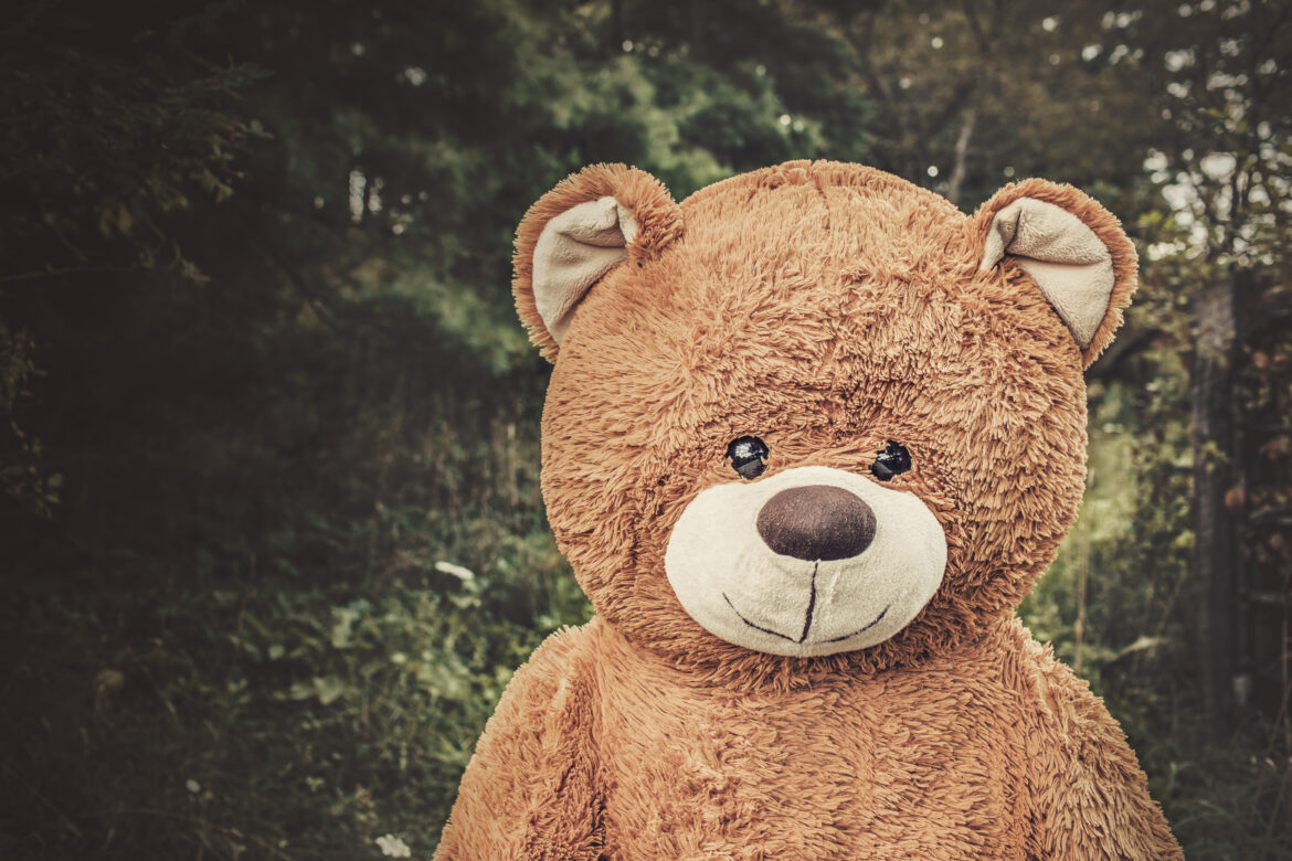 Toy Bear in Forest Free Stock Photo