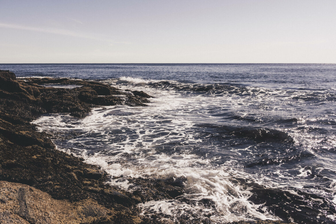 Ocean in the Summer Free Stock Photo