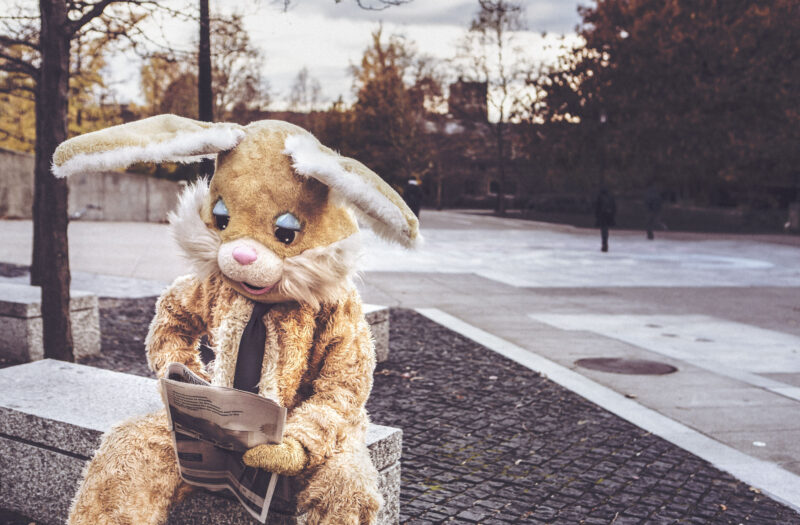 Bunny Costume Free Stock Photo