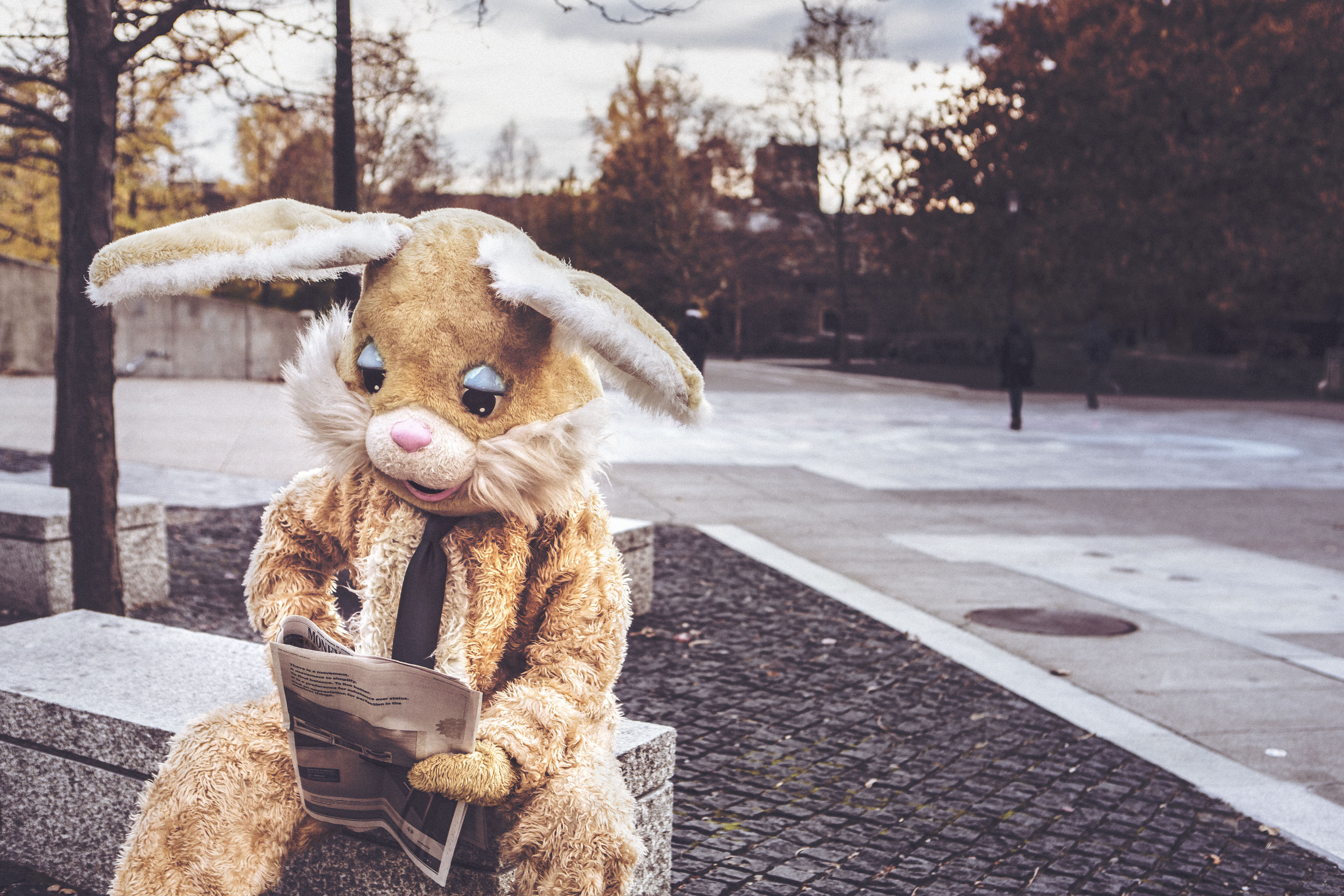 Зайчику плохо. Заяц. Человек в костюме зайца. Костюм кролика. Одинокий зайчик.