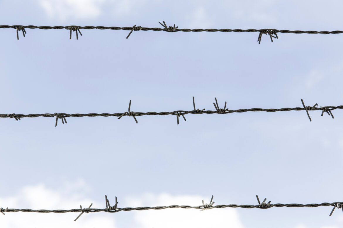 Barbed Wire Blue Sky Free Stock Photo