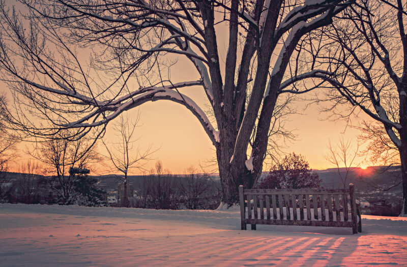 Sunrise in a Snowy Park Free Stock Photo