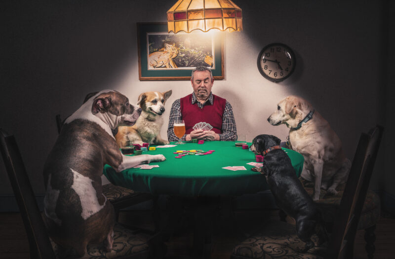 Man & Dogs Playing Cards Free Stock 