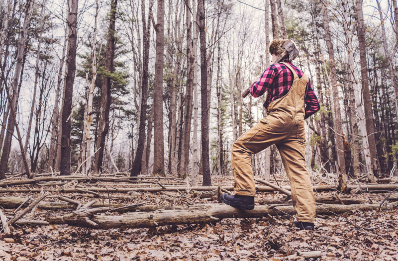 Lumberjack in Woods Free Stock Photo