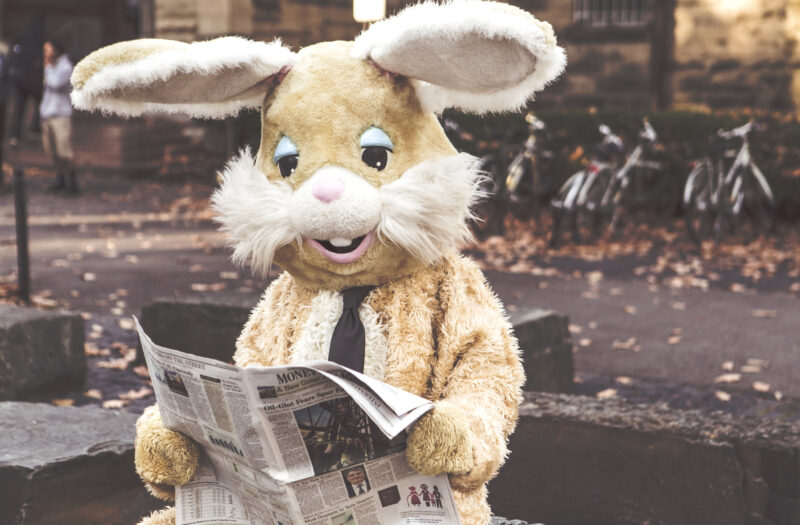 View Bunny Reading Free Stock Image