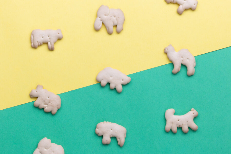Animal Crackers Royalty Free HD Stock Photo and Image