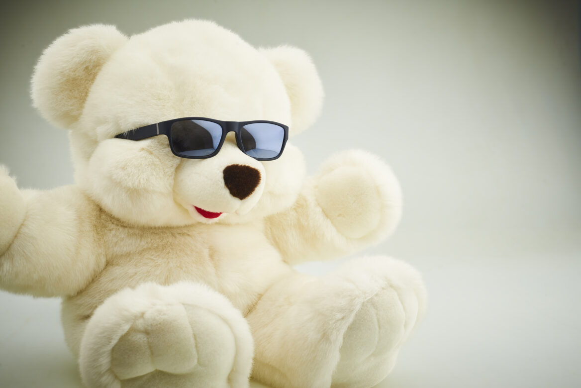 Cool Stuffed Bear Free Stock Photo