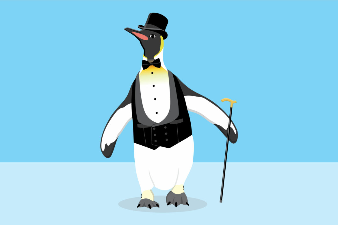 Funny Penguin Royalty Free HD Stock Photo and Image