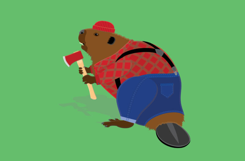 Beaver Cartoon Free Stock 