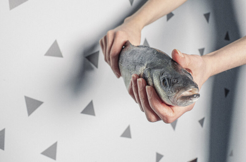 View Hands Holding Fish Free Stock Image