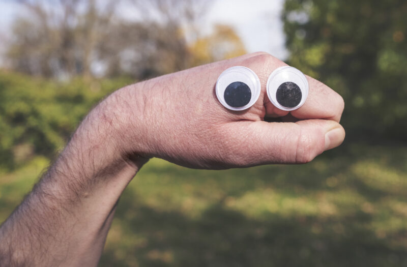 View Hand Puppet Free Stock Image