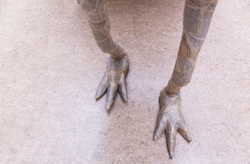 View Monster Feet Free Stock Image