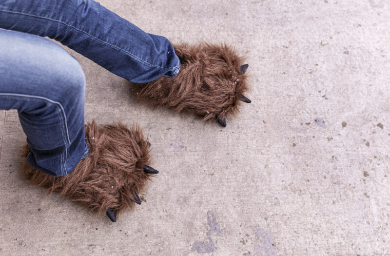 View Fuzzy Slippers Feet Free Stock Image