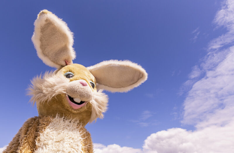 View Easter Bunny Ears Free Stock Image