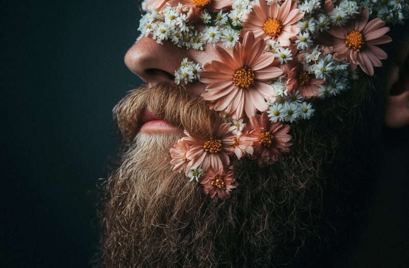 Flower Beard Free Stock Photo